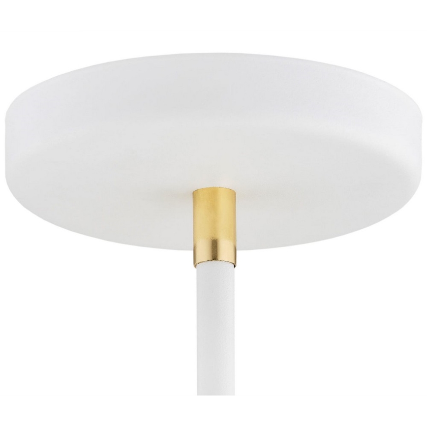 Argon 2551 - Żyrandol na drążku AVALONE 6xE27/15W/230V biały/złoty
