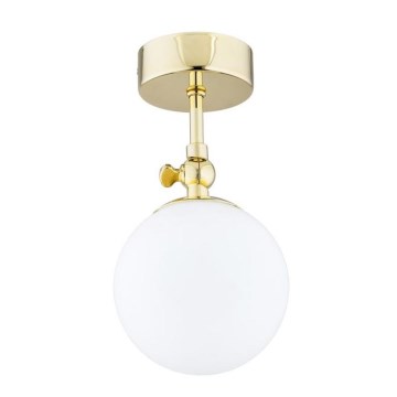 Argon 4001 - Łazienkowy przysufitowy żyrandol LATINA 1xE14/40W/230V IP44