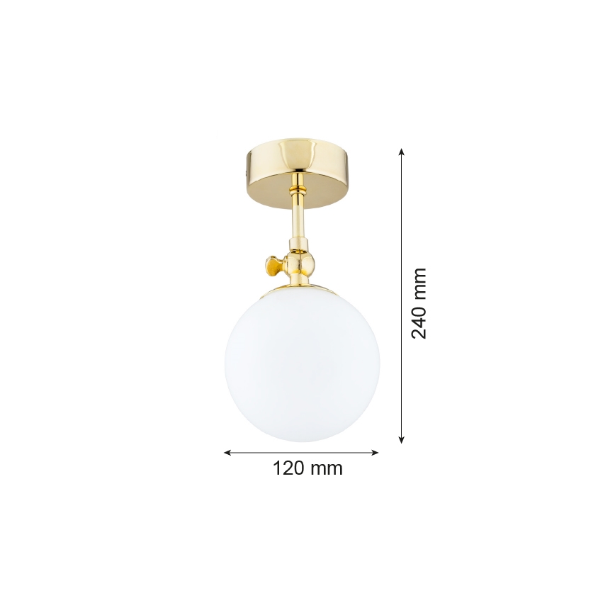 Argon 4001 - Natynkowy żyrandol łazienkowy LATINA 1xE14/40W/230V IP44