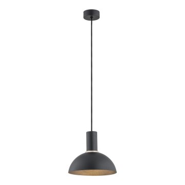 Argon 4222 - Lampa wisząca na linkę SINES 1xE27/15W/230V śr. 28 cm czarna