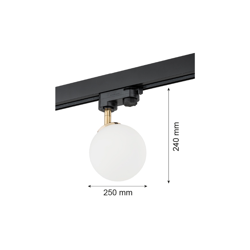 Argon 4307 - Oświetlenie punktowe do systemu szynowego BANG 1xG9/6W/230V mosiądz