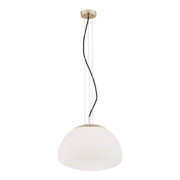 Argon 4317 - Lampa wisząca na linkę TRINI 1xE27/15W/230V śr. 40 cm złota