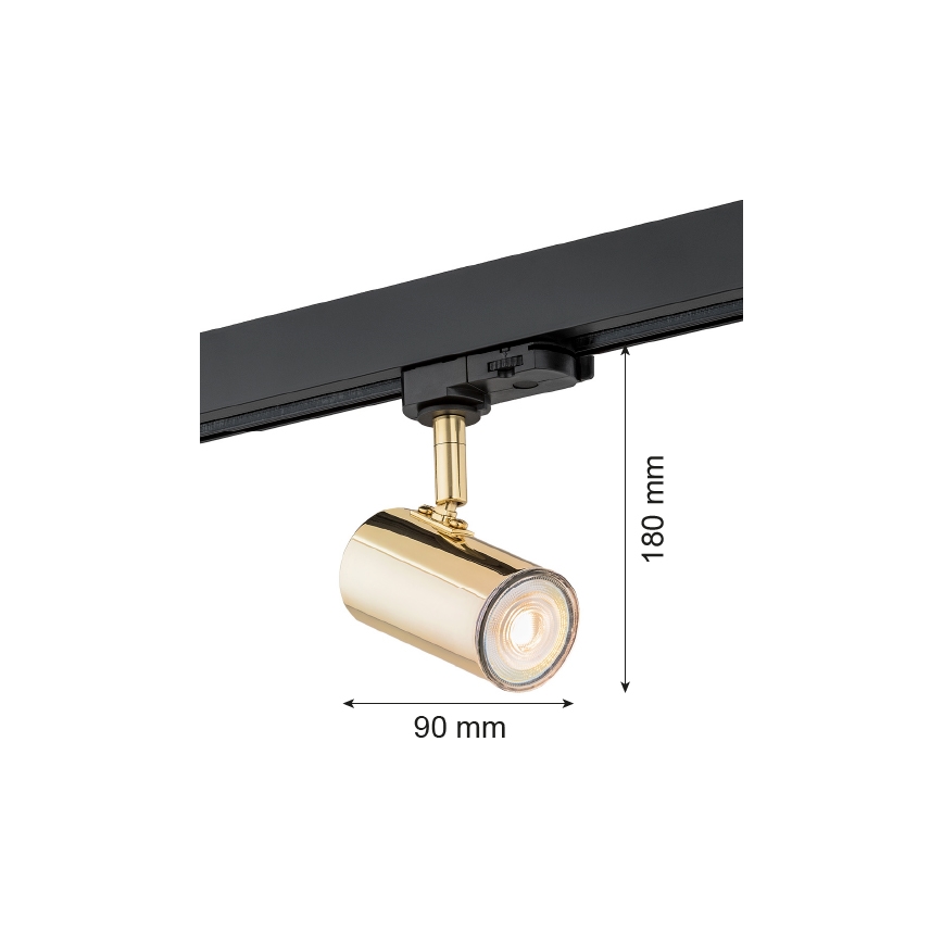 Argon 4328 - Oświetlenie punktowe do systemu szynowego HORTA 1xGU10/5W/230V mosiądz