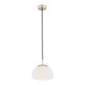 Argon 4352 - Lampa wisząca na linkę TRINI 1xE27/15W/230V śr. 20 cm złota