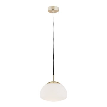 Argon 4352 - Lampa wisząca na linkę TRINI 1xE27/15W/230V śr. 20 cm złota