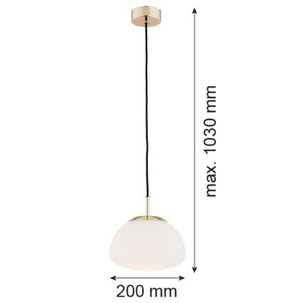 Argon 4352 - Żyrandol na lince TRINI 1xE27/15W/230V złoty