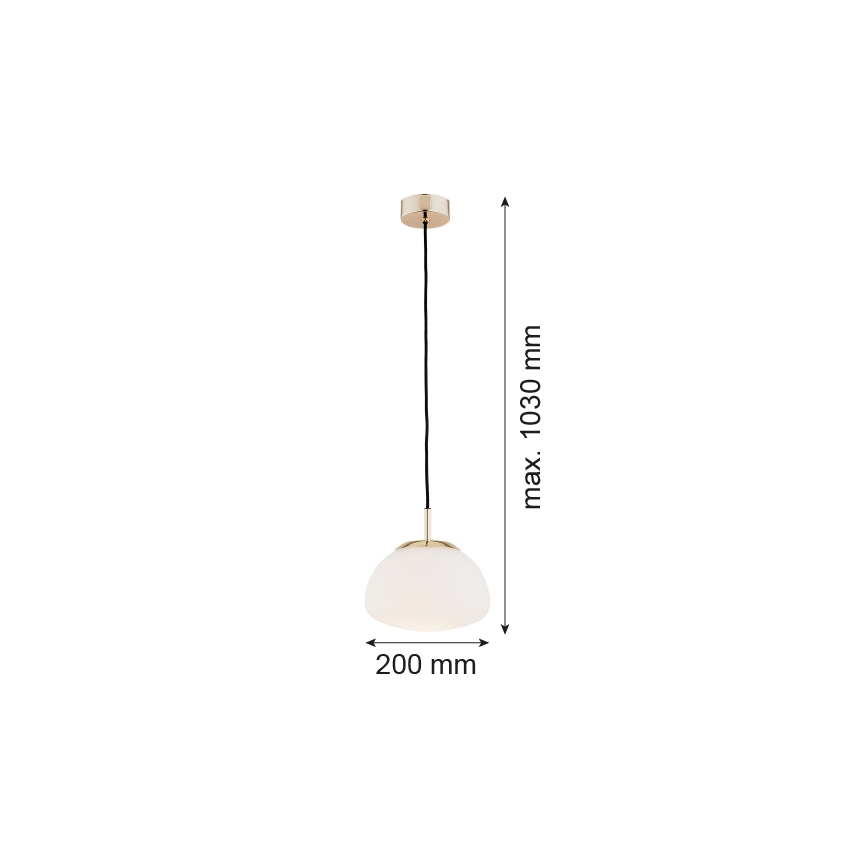 Argon 4352 - Żyrandol na lince TRINI 1xE27/15W/230V złoty