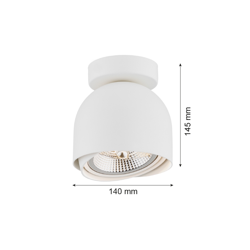 Argon 4710 - Oprawa punktowa GARLAND 1xGU10-AR111/12W/230V biała
