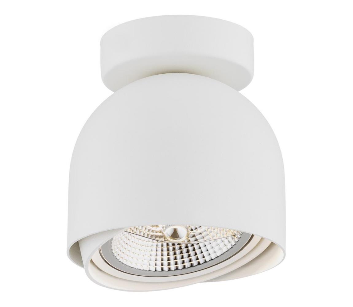 Argon 4710 - Oświetlenie punktowe GARLAND 1xGU10-AR111/12W/230V biały