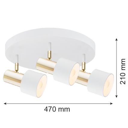 Argon 6008 - Oświetlenie punktowe DORIA 3xE27/15W/230V białe/mosiądz