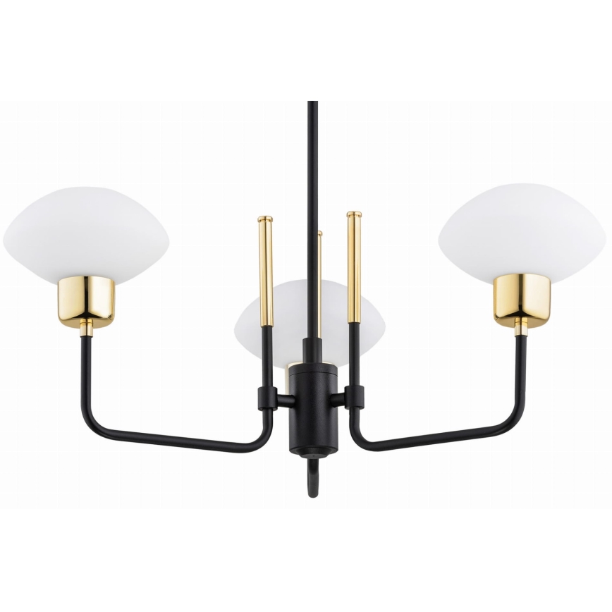 Argon 6166 - Lampa wisząca na pręcie RAVELLO 3xE14/15W/230V czarny/złoty