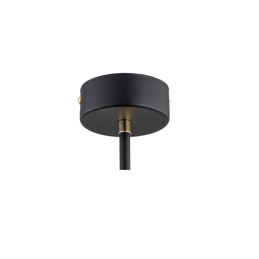 Argon 6166 - Lampa wisząca na pręcie RAVELLO 3xE14/15W/230V czarny/złoty
