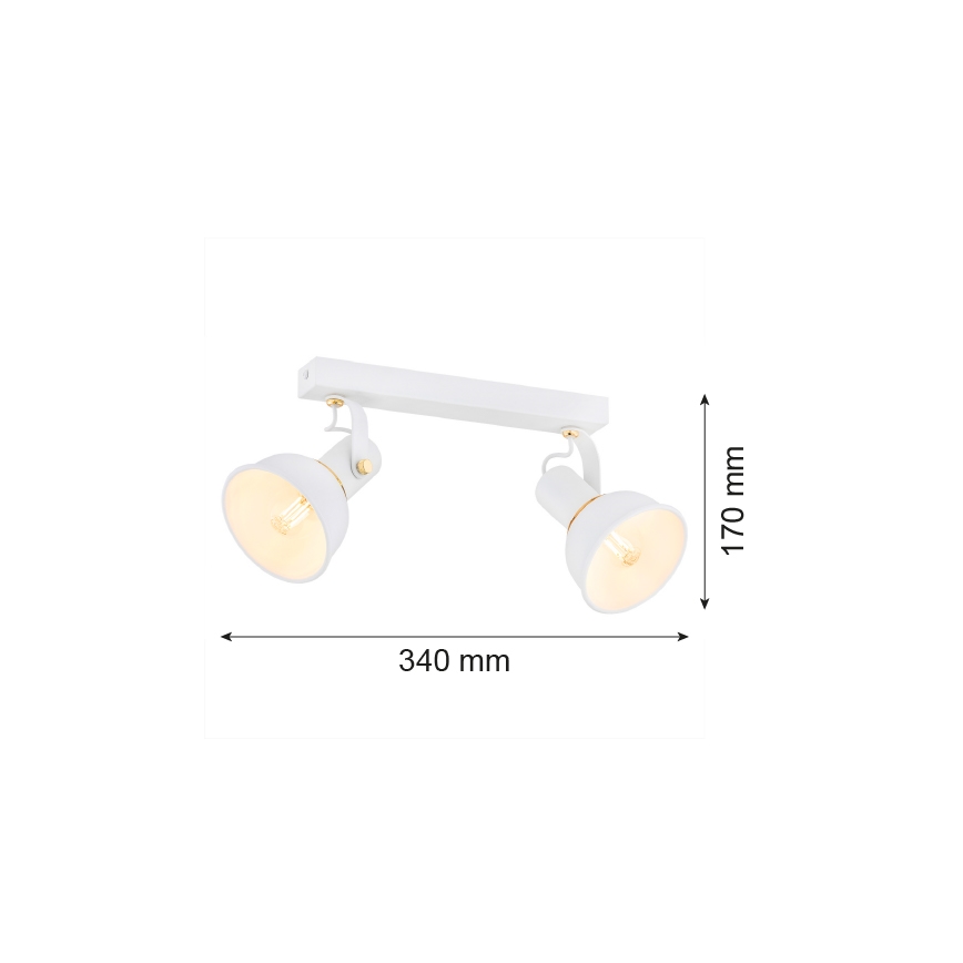 Argon 7036 - Oświetlenie punktowe TWIST 2xE14/7W/230V biały/złoty