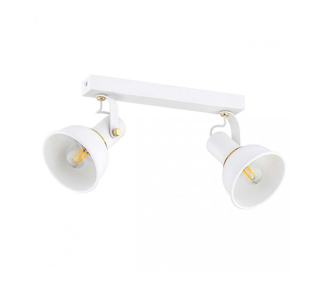 Argon 7036 - Oświetlenie punktowe TWIST 2xE14/7W/230V biały/złoty