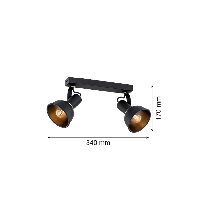 Argon 7037 - Oświetlenie punktowe TWIST 2xE14/7W/230V czarny/złoty