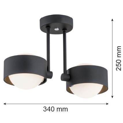 Argon 7089 - Żyrandol na drążku MASSIMO PLUS 2xG9/6W/230V czarny