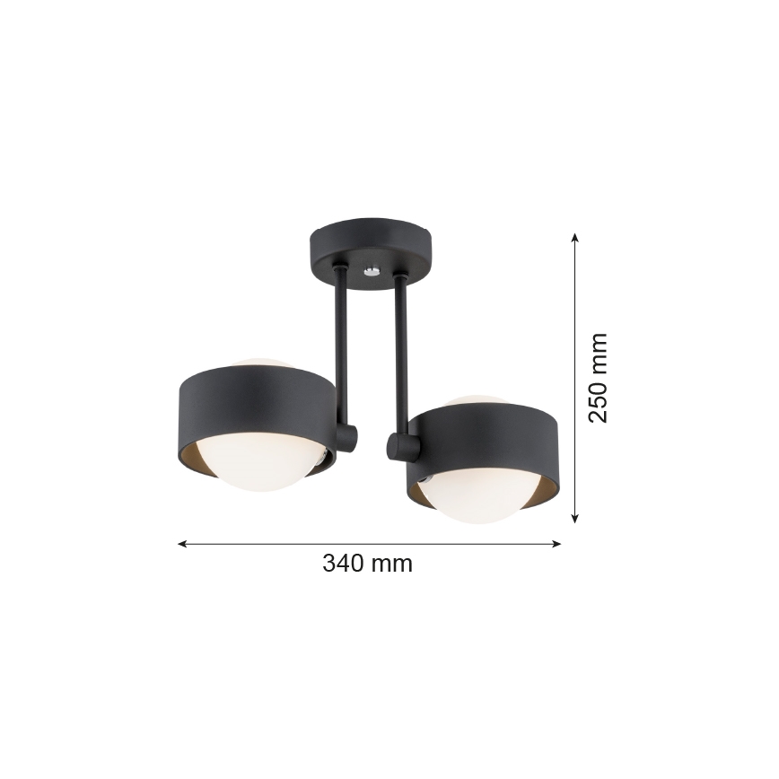 Argon 7089 - Żyrandol na drążku MASSIMO PLUS 2xG9/6W/230V czarny