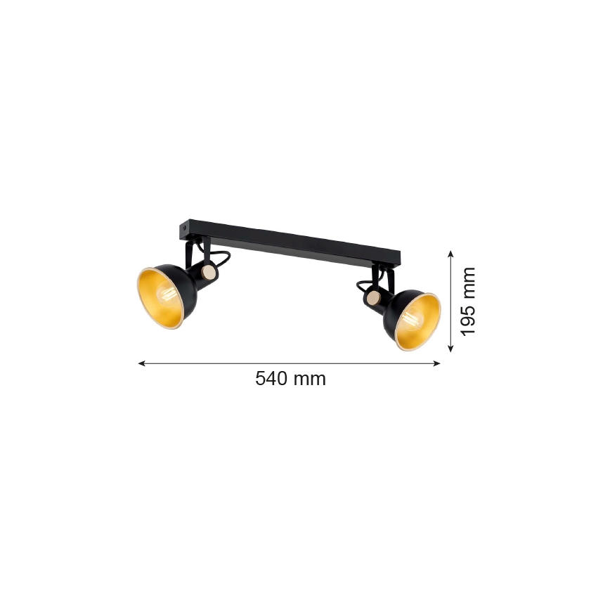 Argon 7142 - Oświetlenie punktowe LENORA 2xE14/7W/230V czarne