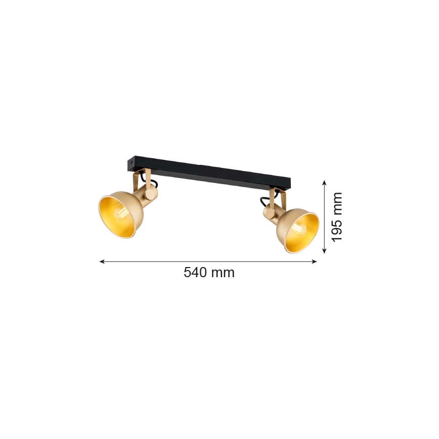 Argon 7144 - Oświetlenie punktowe LENORA 2xE14/7W/230V złoty/czarne
