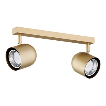 Argon 7150 - Oświetlenie punktowe ISOLA 2xGU10/5W/230V