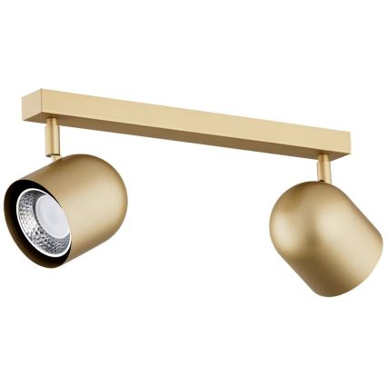 Argon 7150 - Oświetlenie punktowe ISOLA 2xGU10/5W/230V