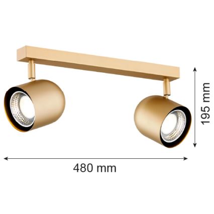 Argon 7150 - Oświetlenie punktowe ISOLA 2xGU10/5W/230V