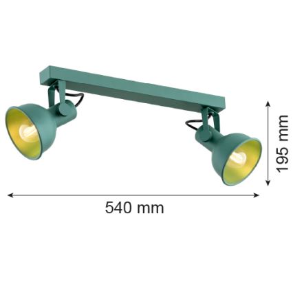 Argon 7174 - Oświetlenie punktowe LENORA 2xE14/7W/230V zielony