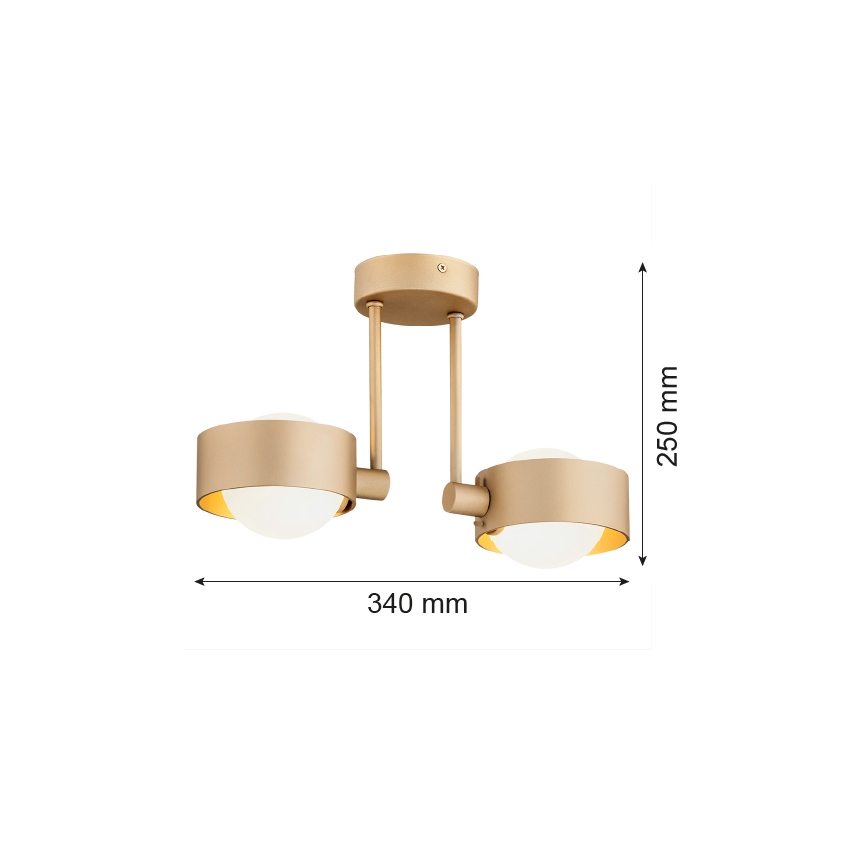 Argon 7215 - Żyrandol łazienkowy MASSIMO PLUS 2xG9/6W/230V IP44 złoty