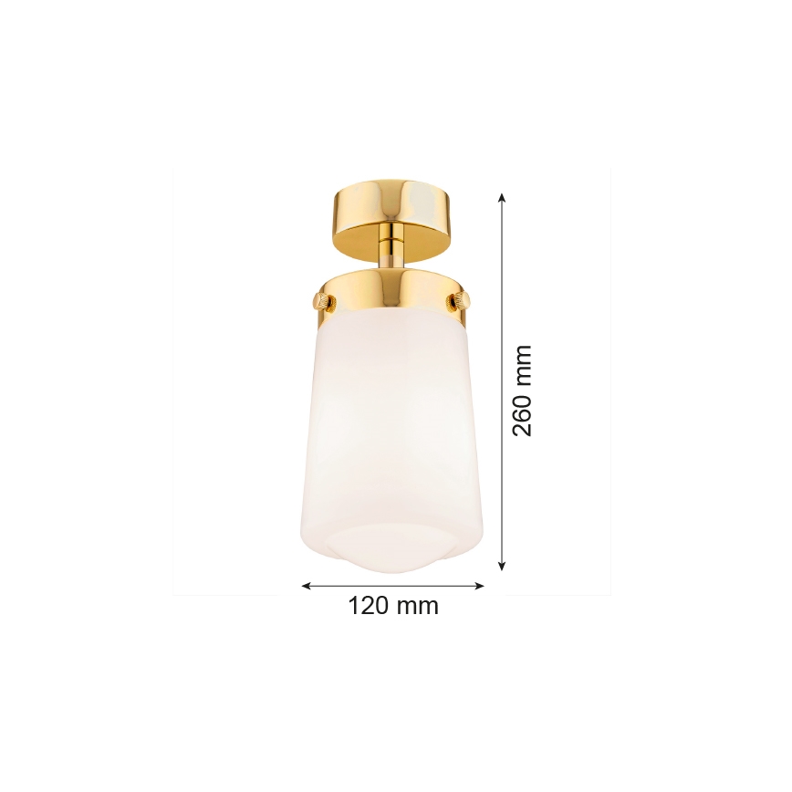 Argon 8005 - Surface-mounted żyrandol PASADENA 1xE27/15W/230V złoty/biały