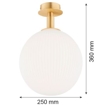 Argon 8505 - Lampa sufitowa PALOMA 1xE27/15W/230V złoty/białe