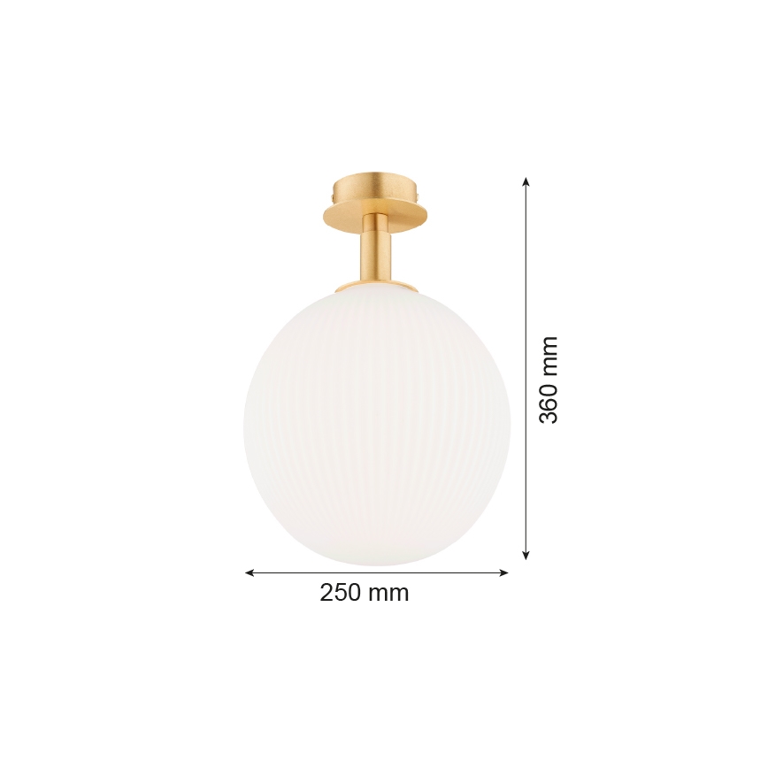 Argon 8505 - Lampa sufitowa PALOMA 1xE27/15W/230V złoty/białe