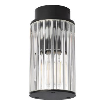 Argon 8773 - Plafon zewnętrzny NORFOLK 1xE27/15W/230V IP44 czarny