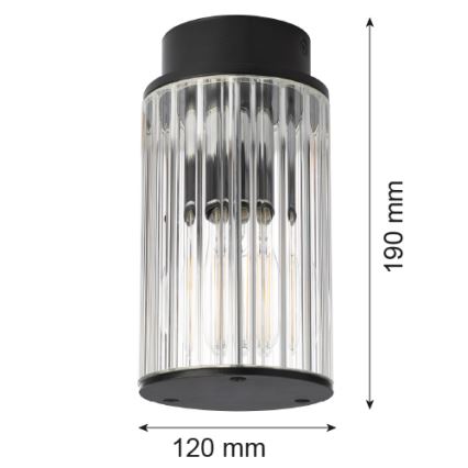 Argon 8773 - Plafon zewnętrzny NORFOLK 1xE27/15W/230V IP44 czarny