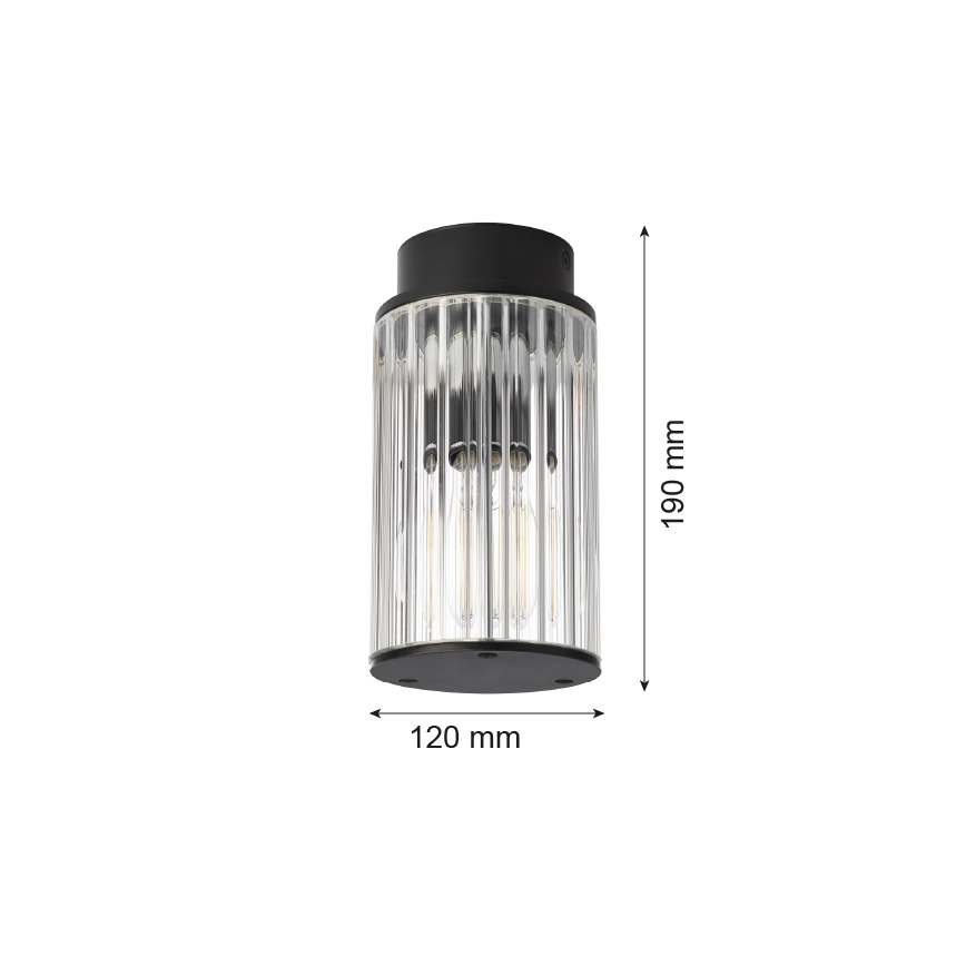 Argon 8773 - Plafon zewnętrzny NORFOLK 1xE27/15W/230V IP44 czarny