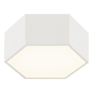 Argon 8781 - LED Plafon LIBERO LED/12W/230V 3000K biały