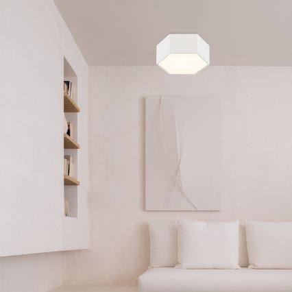 Argon 8781 - LED Plafon LIBERO LED/12W/230V 3000K biały