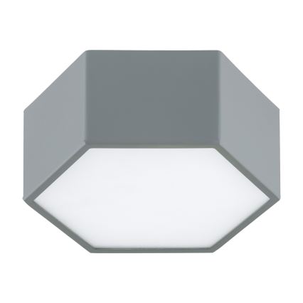 Argon 8784 - LED Plafon LIBERO LED/12W/230V 3000K szary