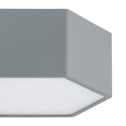 Argon 8784 - LED Plafon LIBERO LED/12W/230V 3000K szary