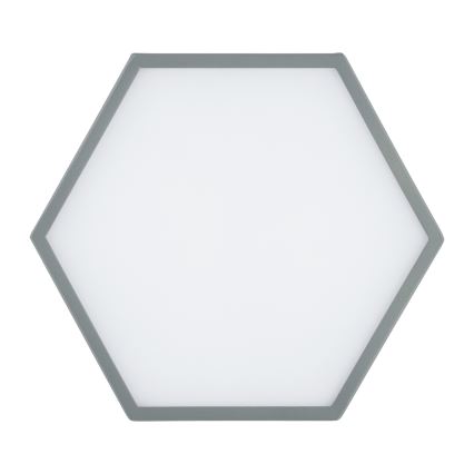 Argon 8784 - LED Plafon LIBERO LED/12W/230V 3000K szary