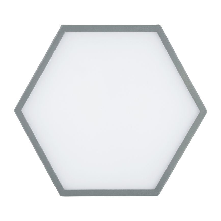 Argon 8784 - LED Plafon LIBERO LED/12W/230V 3000K szary