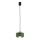 Argon 8815 - Żyrandol na lince TEVO 1xG9/4,5W/230V zielony