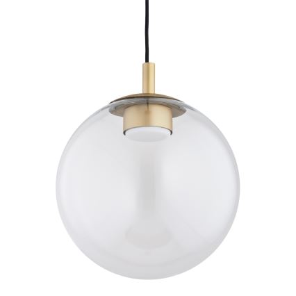 Argon 8828 - Żyrandol na lince SACRAMENTO 1xGX53/8W/230V przezroczysty/złoty