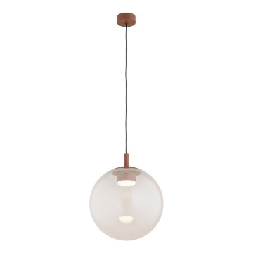 Argon 8829 - Żyrandol na lince SACRAMENTO 1xGX53/8W/230V przezroczysty/brązowy