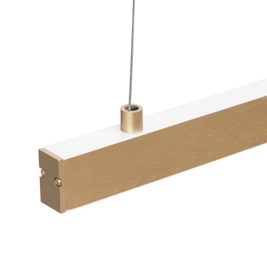 Argon 8836 - LED Żyrandol na lince MIAMI LED/37W/230V 3000K złoty