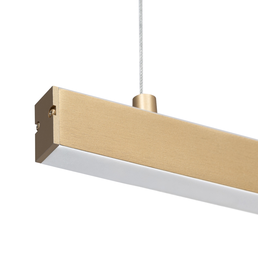 Argon 8836 - LED Żyrandol na lince MIAMI LED/37W/230V 3000K złoty