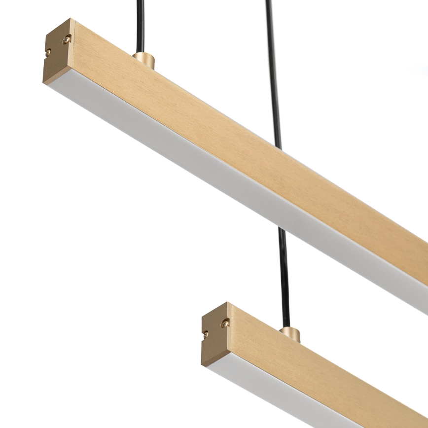 Argon 8839 - LED Żyrandol na lince MIAMI LED/74W/230V 3000K złoty