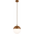 Argon 8998 - Zewnętrzna lampa wisząca na przewodzie LIV 1xE27/15W/230V IP44 brązowa