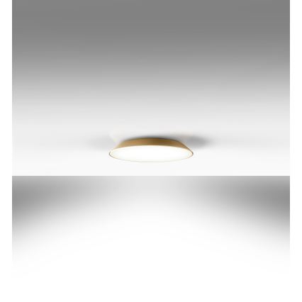 Artemide AR 0241320A - LED Plafon FEBE 4xLED/30W/230V