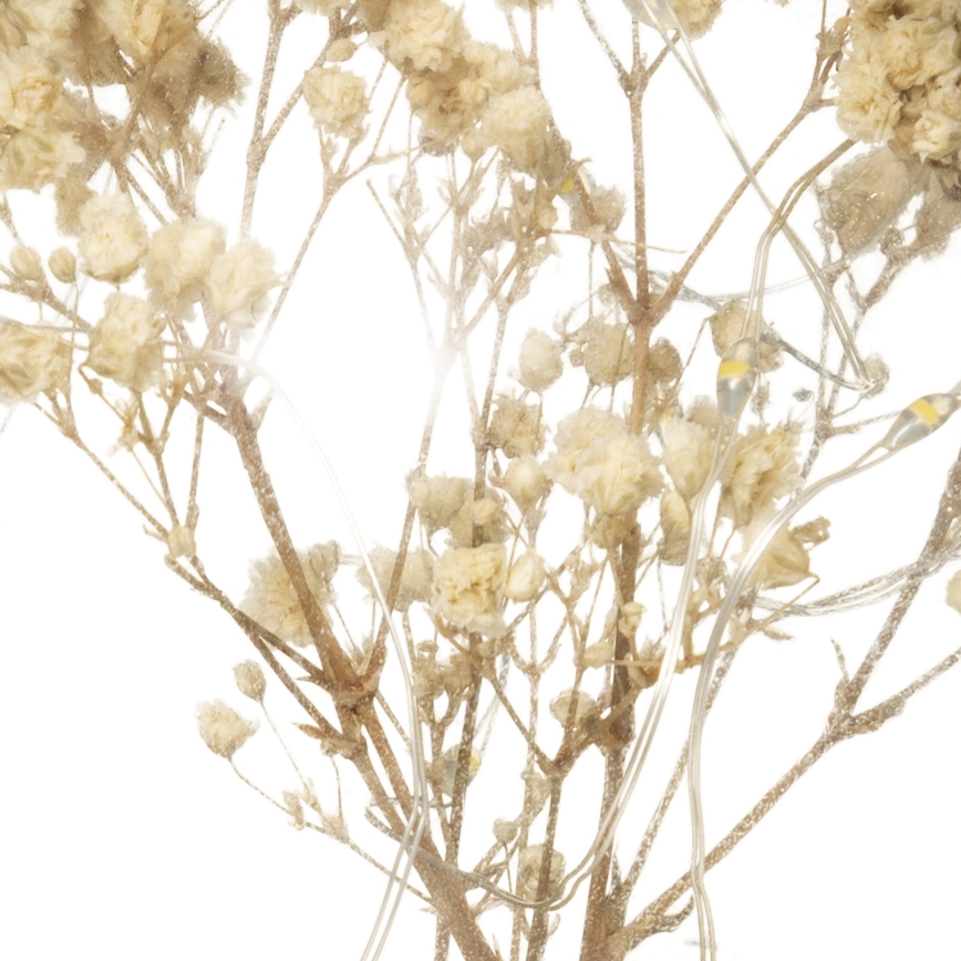 Atmosphera - Lampka stołowa LED MICRO LED/2xAAA antracyt