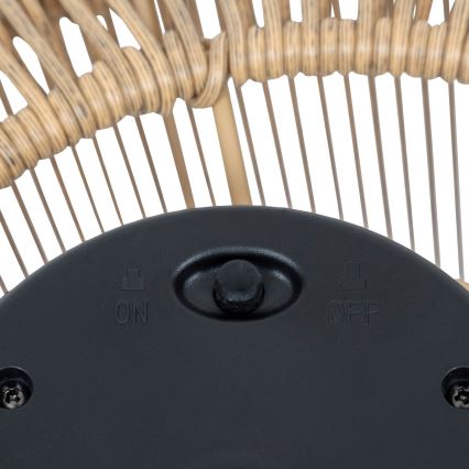 Atmosphera - LED Lampa solarna LOISE LED/1,2V IP44